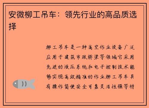 安微柳工吊车：领先行业的高品质选择