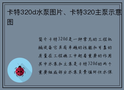 卡特320d水泵图片、卡特320主泵示意图